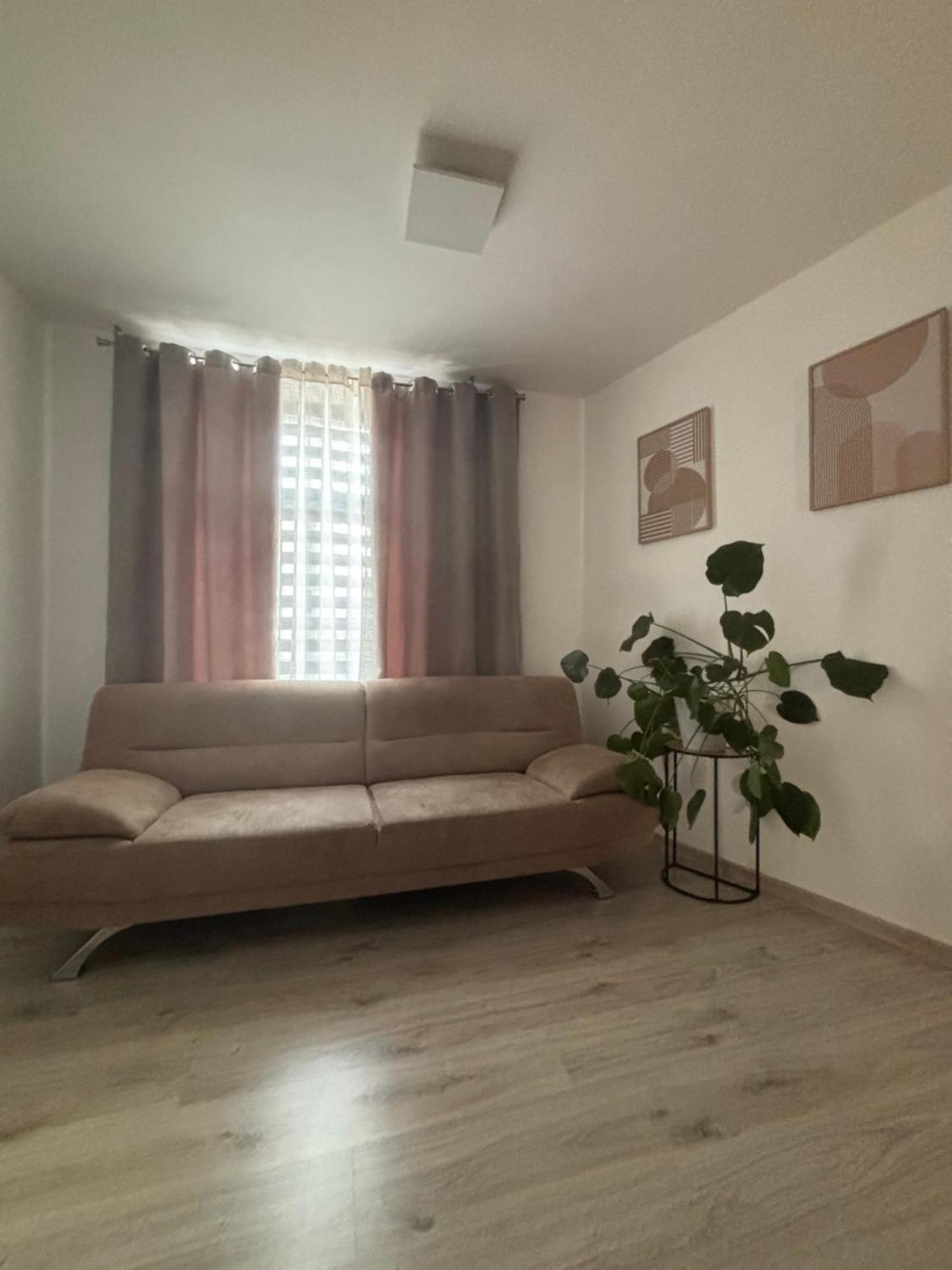 Penzion U Radnice , Byt 5 즈노이모 외부 사진